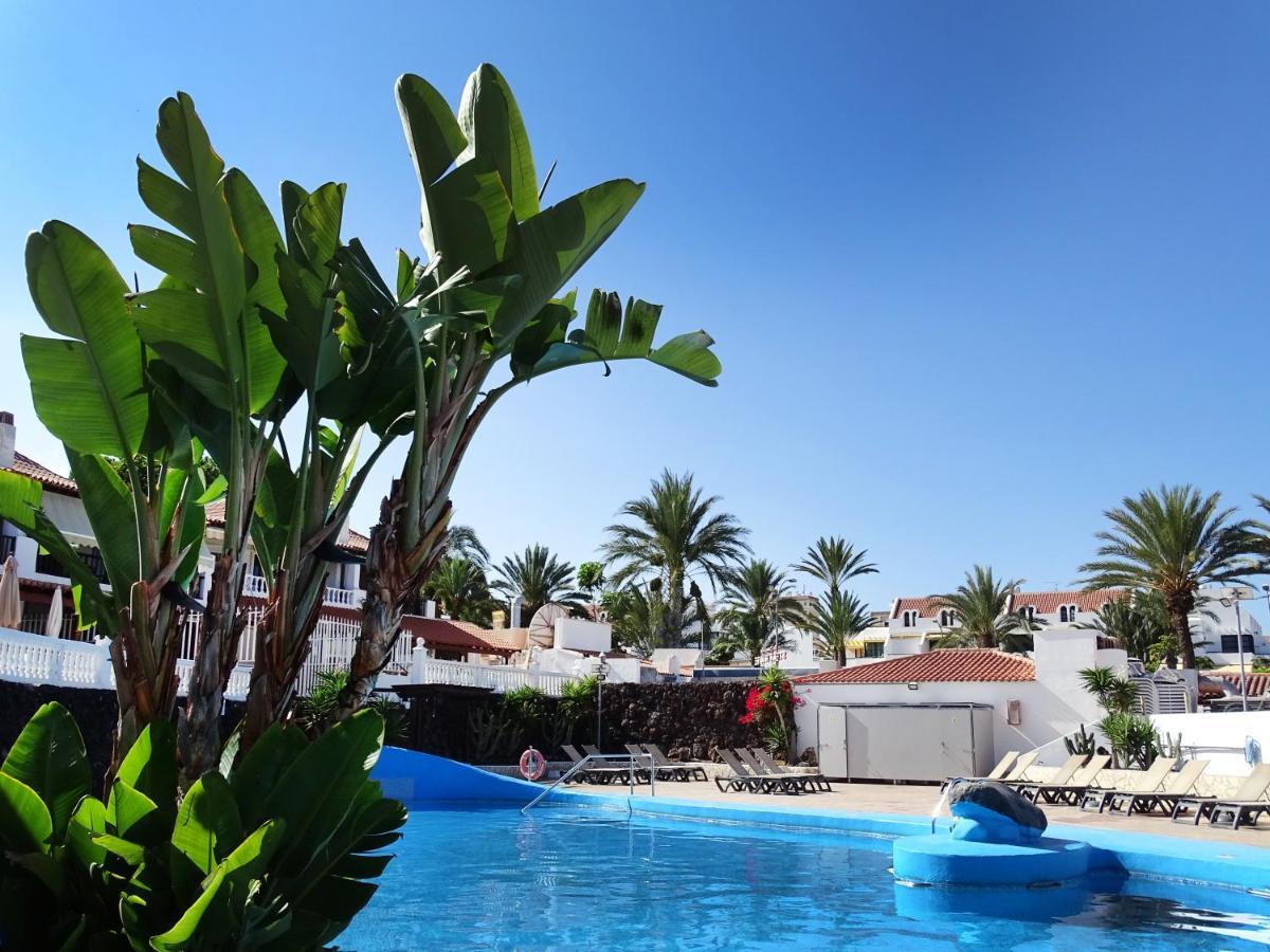 Americas Luxury Low-cost With Terrace & Views Apartment *