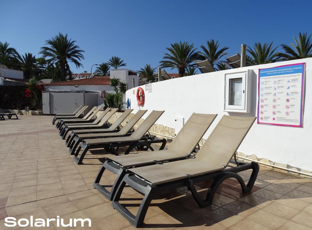 Apartment Americas Luxury Low-cost With Terrace & Views Playa de las Americas (Tenerife)